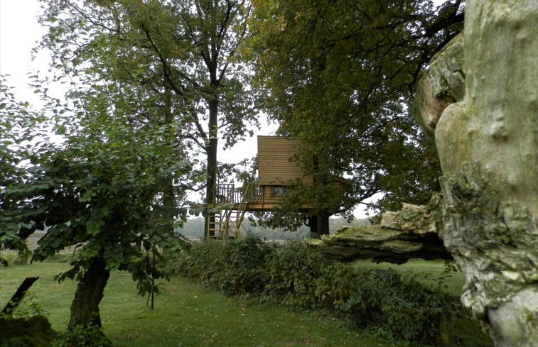 Natuurhuisje in Haarlo