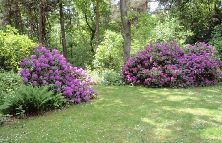 Natuurhuisje in Harfsen