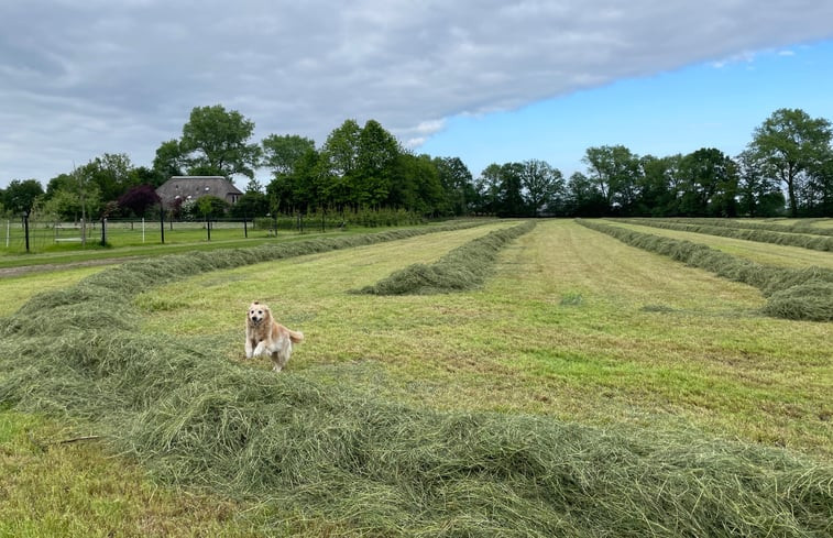 Natuurhuisje in Beemte Broekland