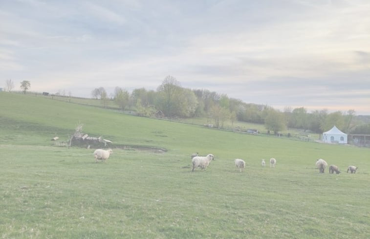 Natuurhuisje in tielt winge