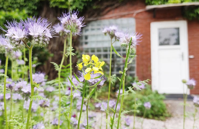 Natuurhuisje in Detern