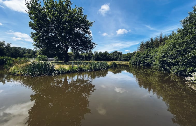 Natuurhuisje in Jubbega