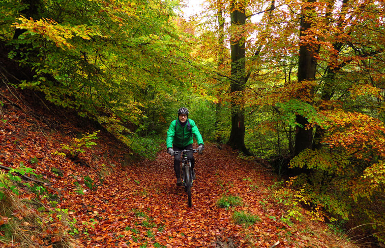 Natuurhuisje in La roche-en-ardenne