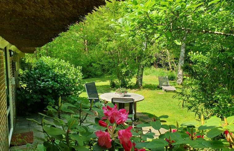 Natuurhuisje in Balkbrug