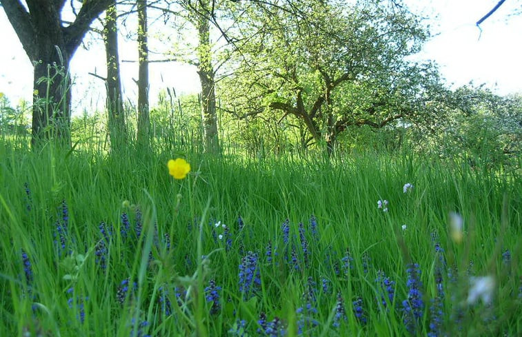 Natuurhuisje in Relsberg