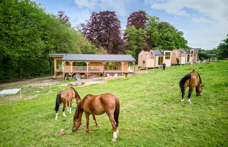 Natuurhuisje in Villers-la-ville