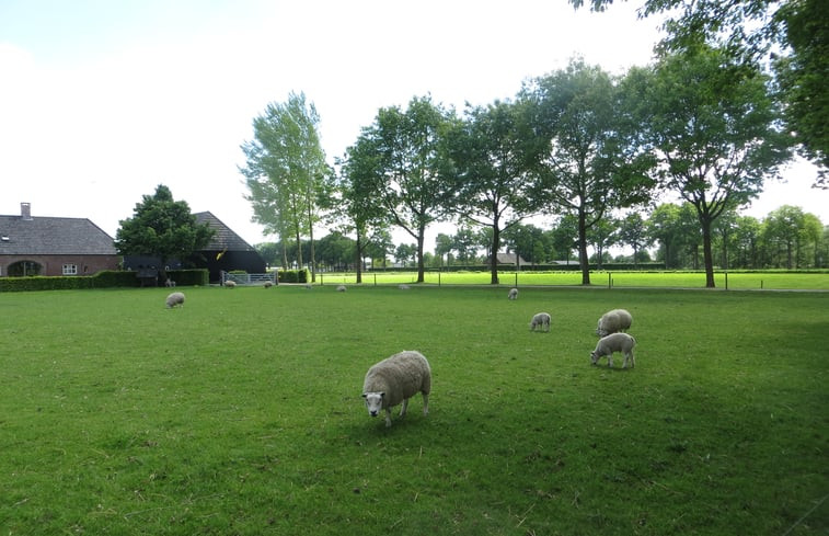 Natuurhuisje in Oisterwijk