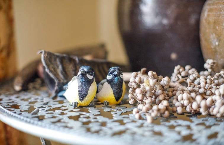 Natuurhuisje in Ambt Delden