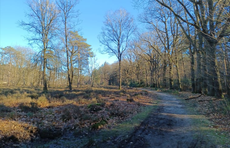 Natuurhuisje in Maarn