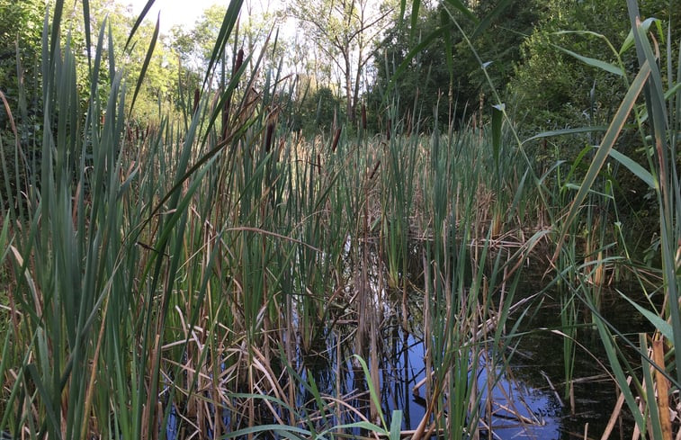 Natuurhuisje in Ubbergen