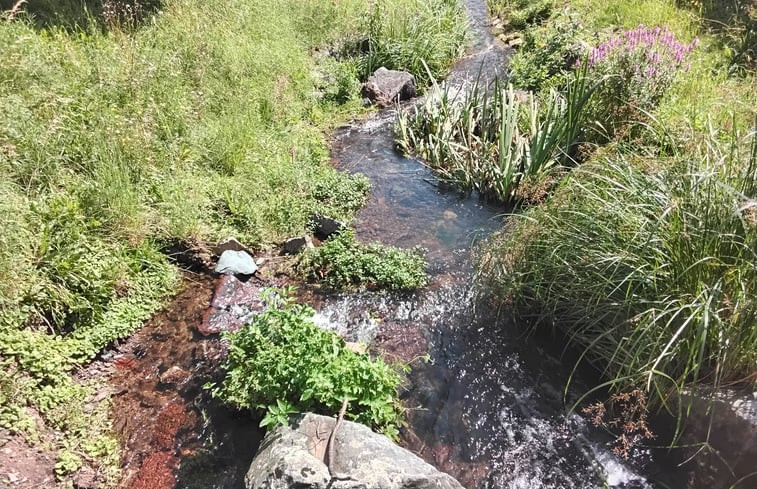 Natuurhuisje in Bad Sachsa