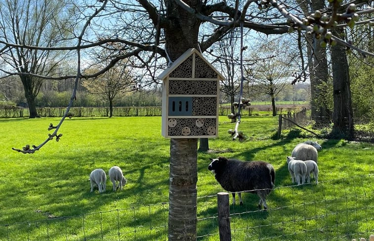 Natuurhuisje in Susteren