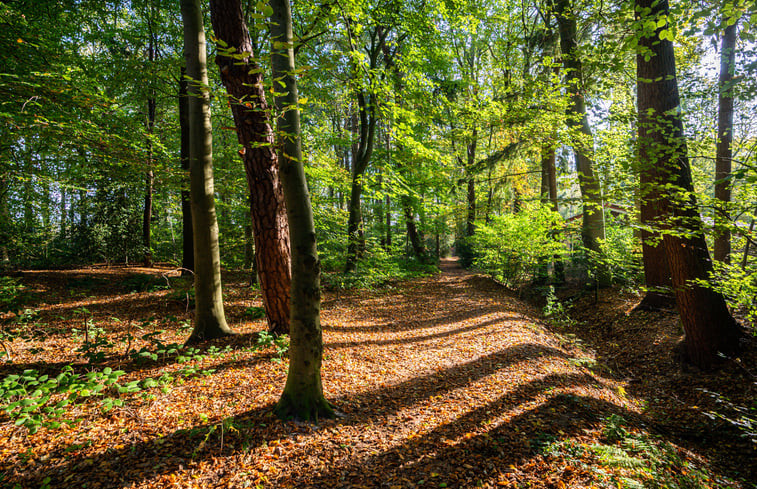 Natuurhuisje in Oudemirdum