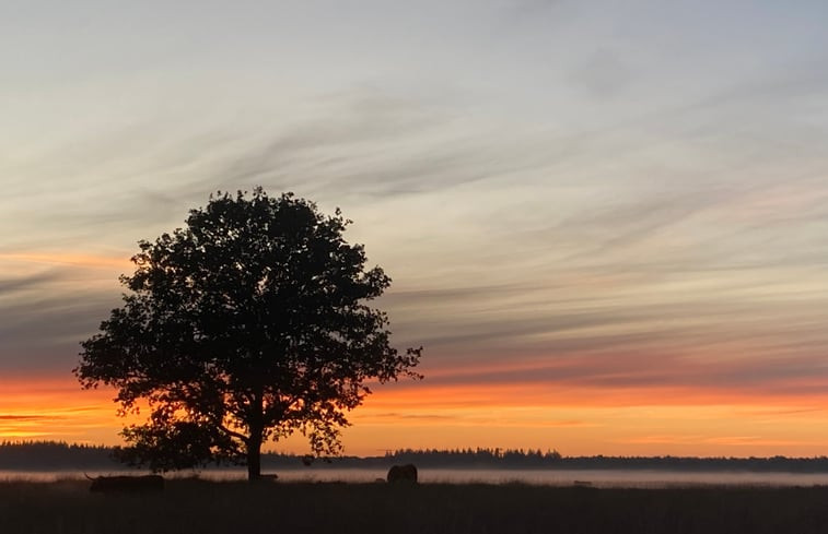 Natuurhuisje in Vledder