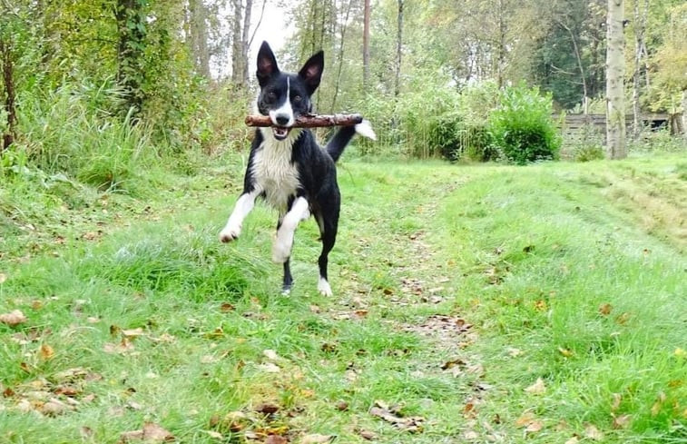 Natuurhuisje in Vorselaar