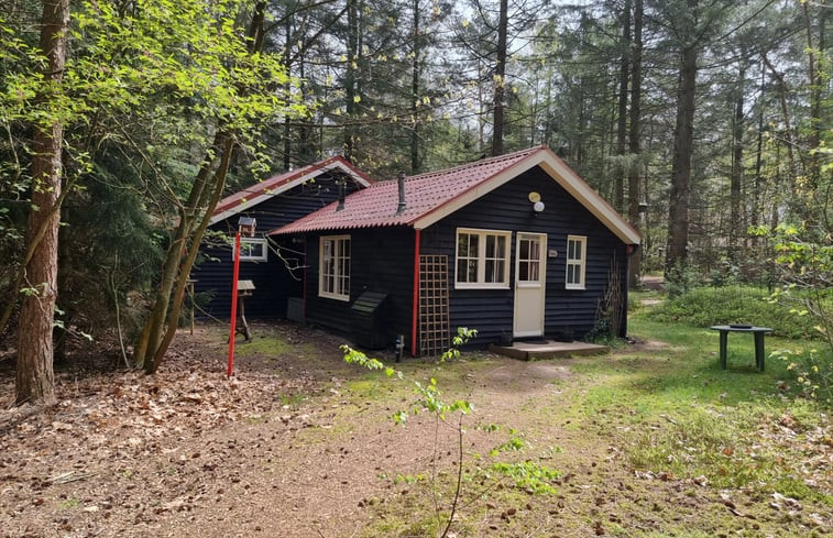 Natuurhuisje in Emst bij Epe