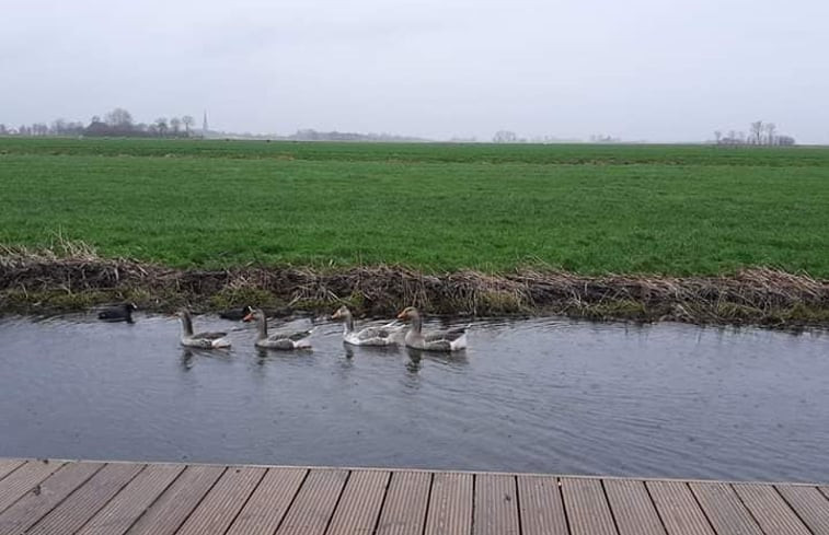 Natuurhuisje in Hitzum