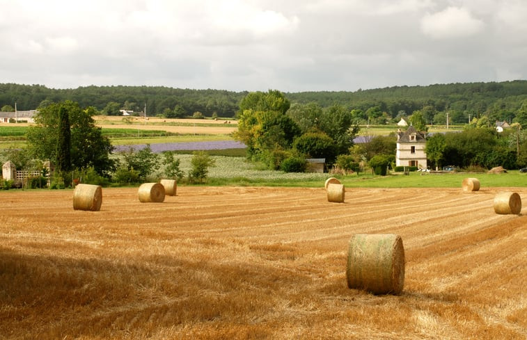 Natuurhuisje in Fontaine Guerin, Les Bois d&apos;Anjou