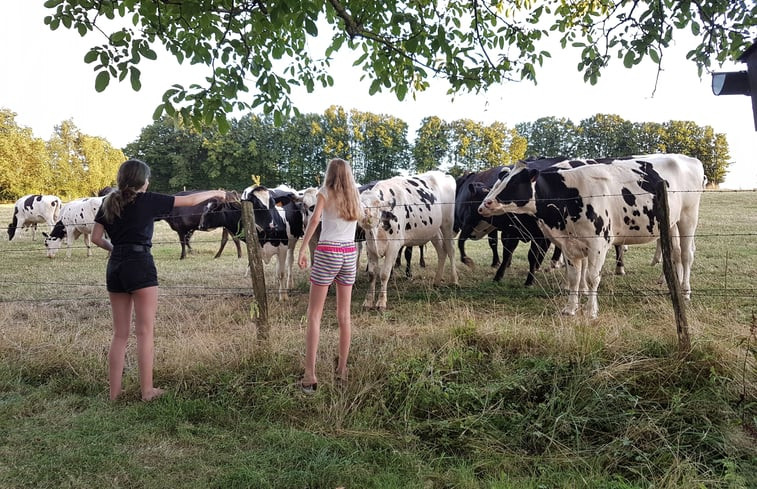 Natuurhuisje in Landouzy-la-Ville, Thierache