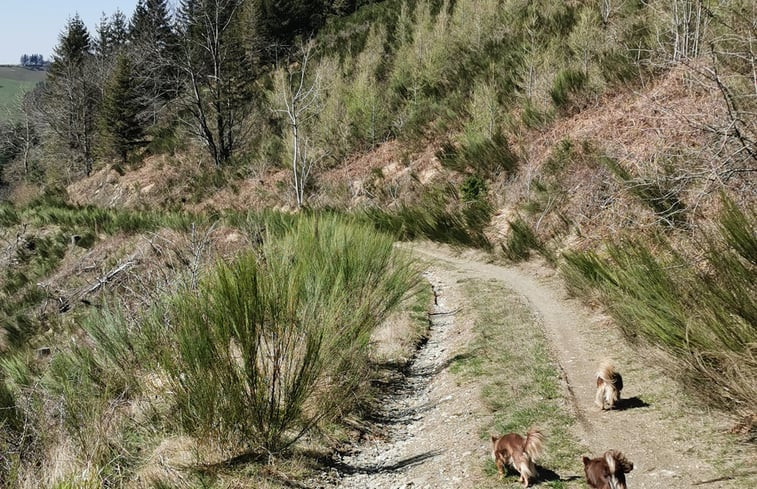 Natuurhuisje in Lacaune