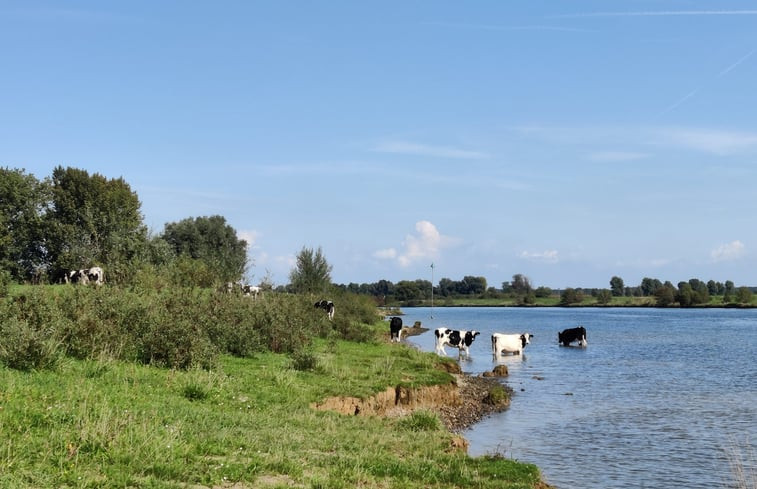 Natuurhuisje in Neer / Roermond