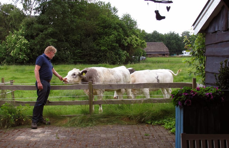 Natuurhuisje in Dwingeloo