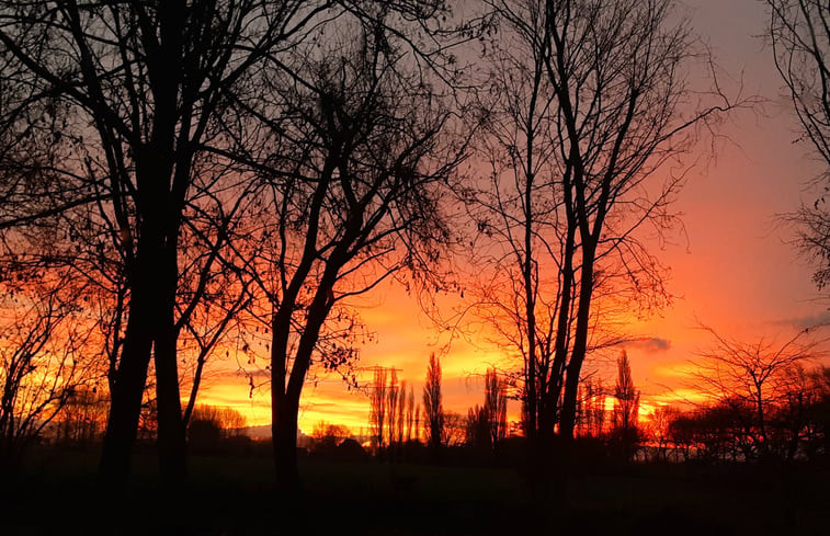 Natuurhuisje in Driewegen