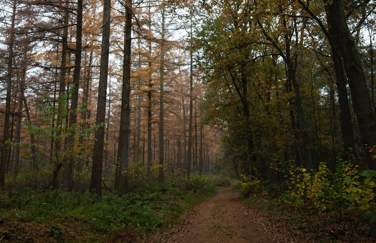 Natuurhuisje in Otterlo