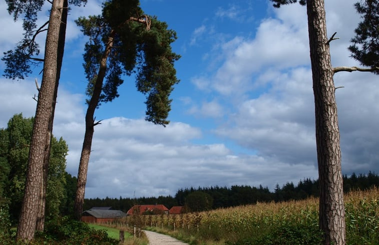 Natuurhuisje in Hengevelde