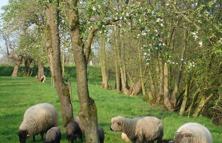 Natuurhuisje in Vlist