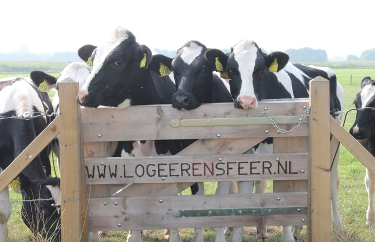 Natuurhuisje in Steenderen