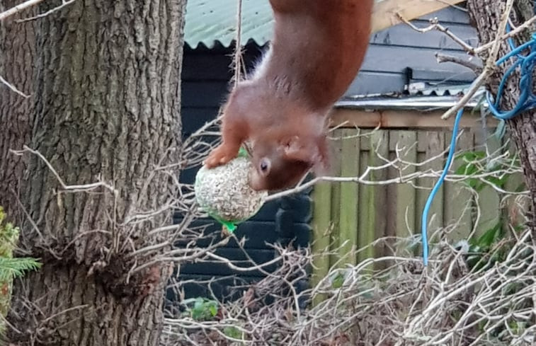 Natuurhuisje in Schipborg