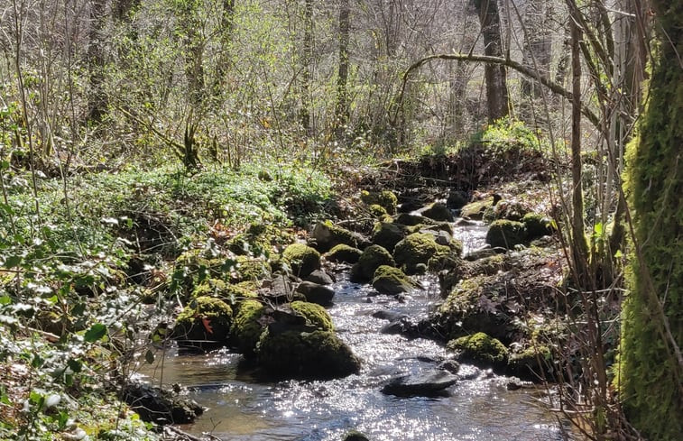 Natuurhuisje in SAINT GERMAIN LES BELLES