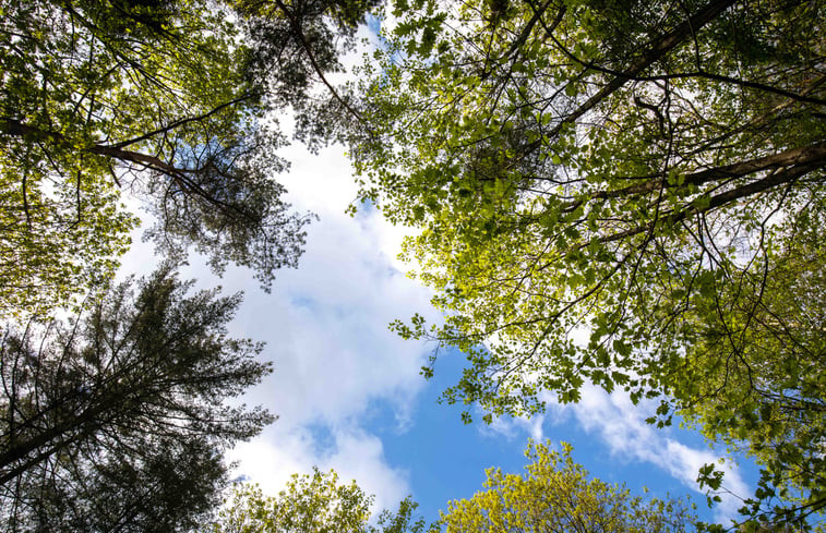 Natuurhuisje in Voorthuizen