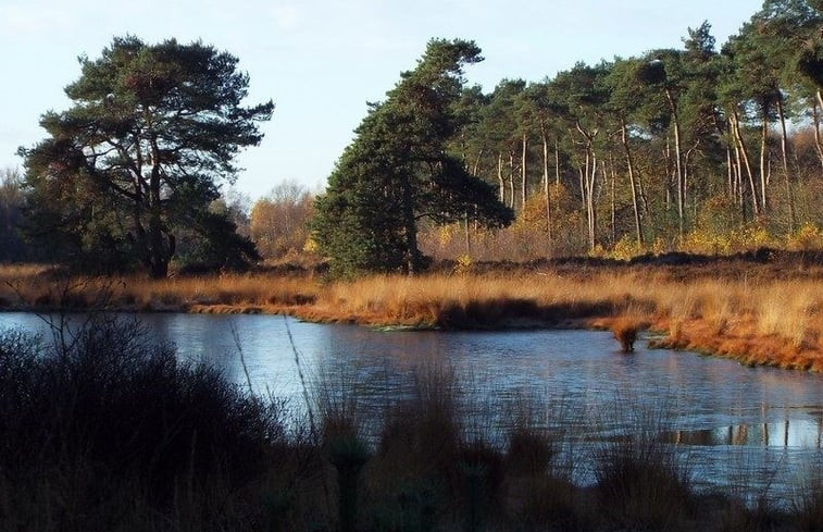 Natuurhuisje in Riethoven