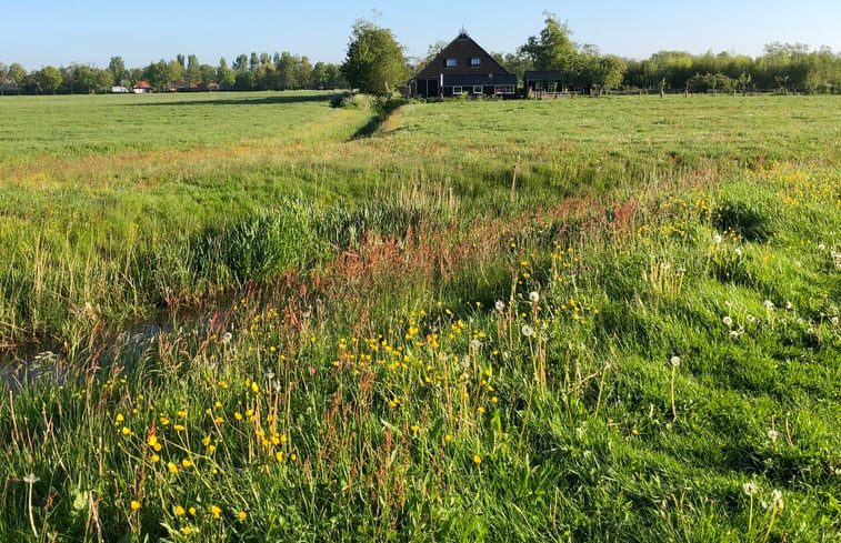 Natuurhuisje in Ryptsjerk