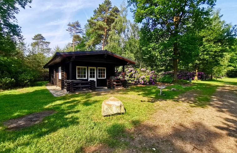 Natuurhuisje in Holten