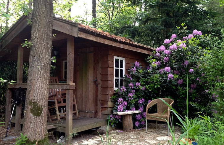 Natuurhuisje in Holten