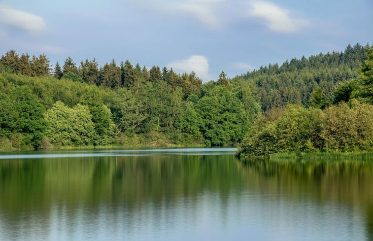 Natuurhuisje in BARVAUX/OURTHE