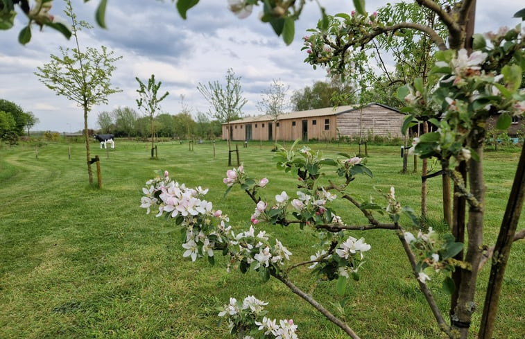 Natuurhuisje in Moergestel