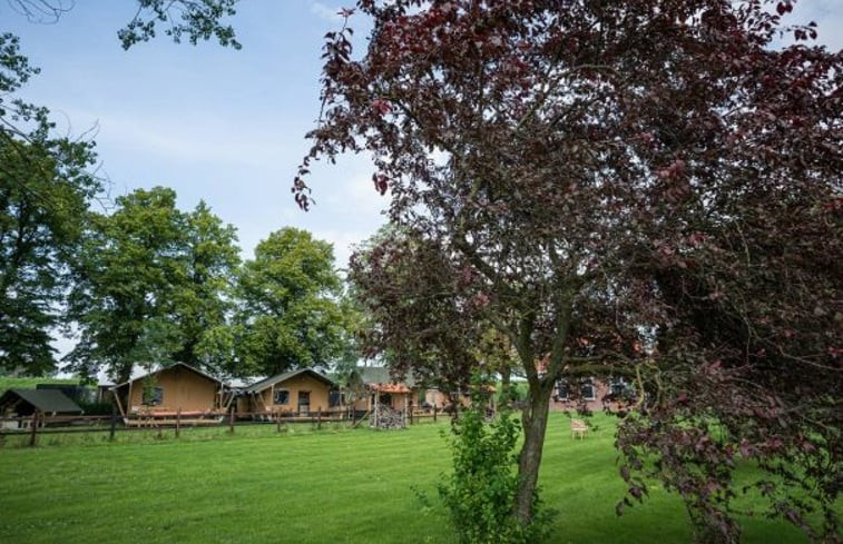 Natuurhuisje in Steenbergen