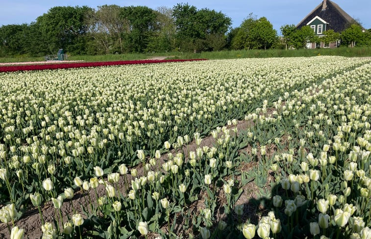 Natuurhuisje in Burgervlotbrug