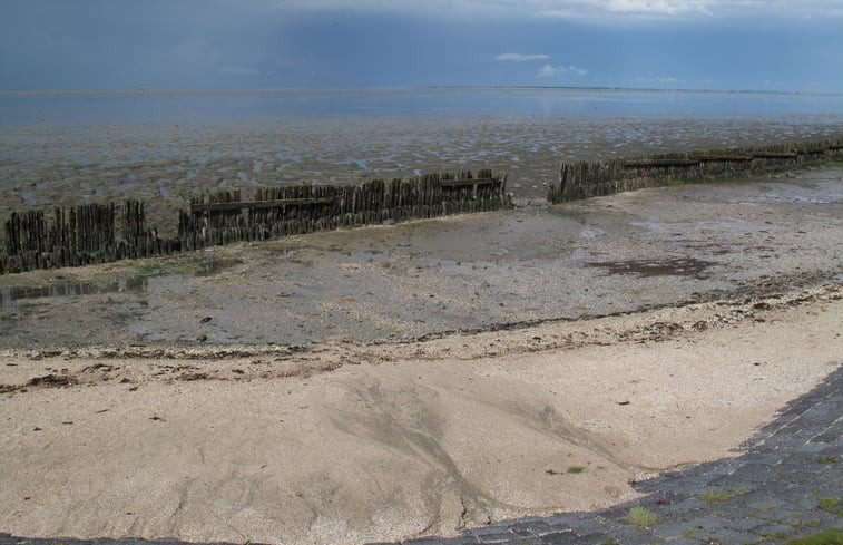 Natuurhuisje in Moddergat