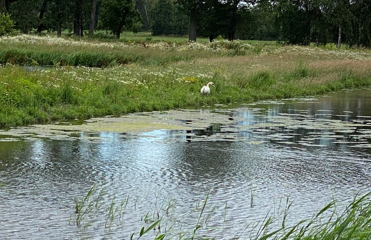 Natuurhuisje in Weert