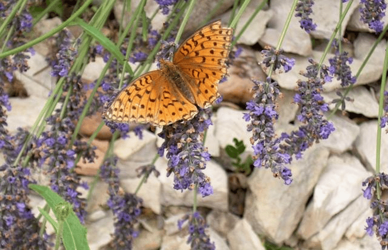 Natuurhuisje in Grospierres