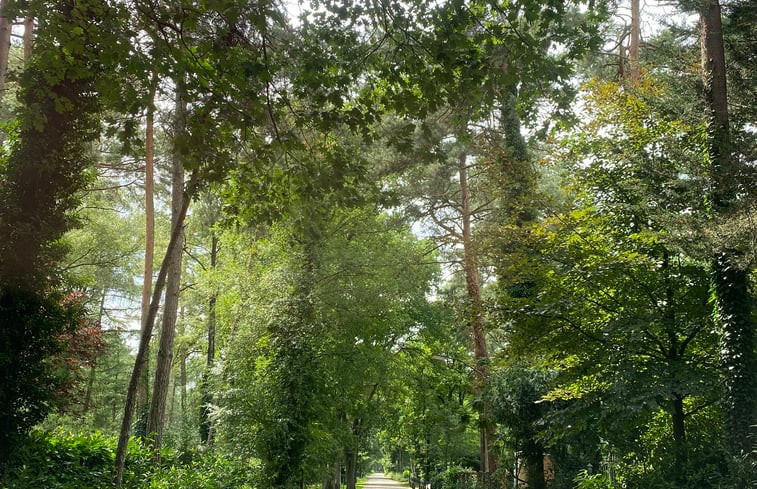 Natuurhuisje in Oisterwijk