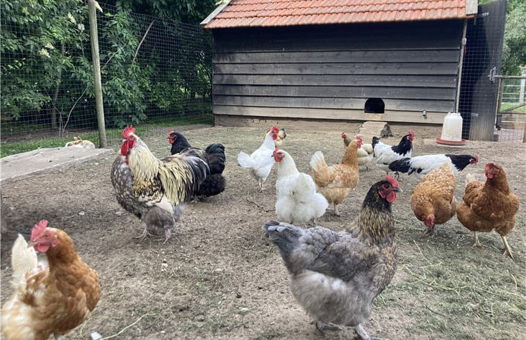 Natuurhuisje in Westendorp