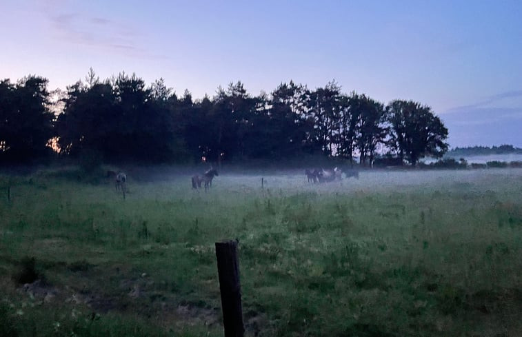 Natuurhuisje in Ommen