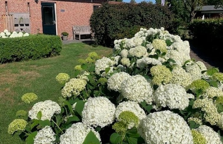 Natuurhuisje in De Pollen (Vriezenveen)