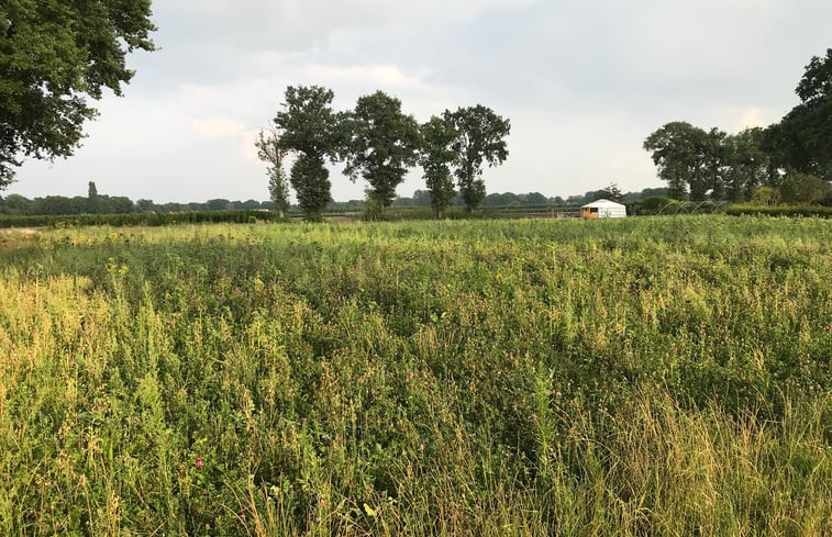 Natuurhuisje in Klein Zundert